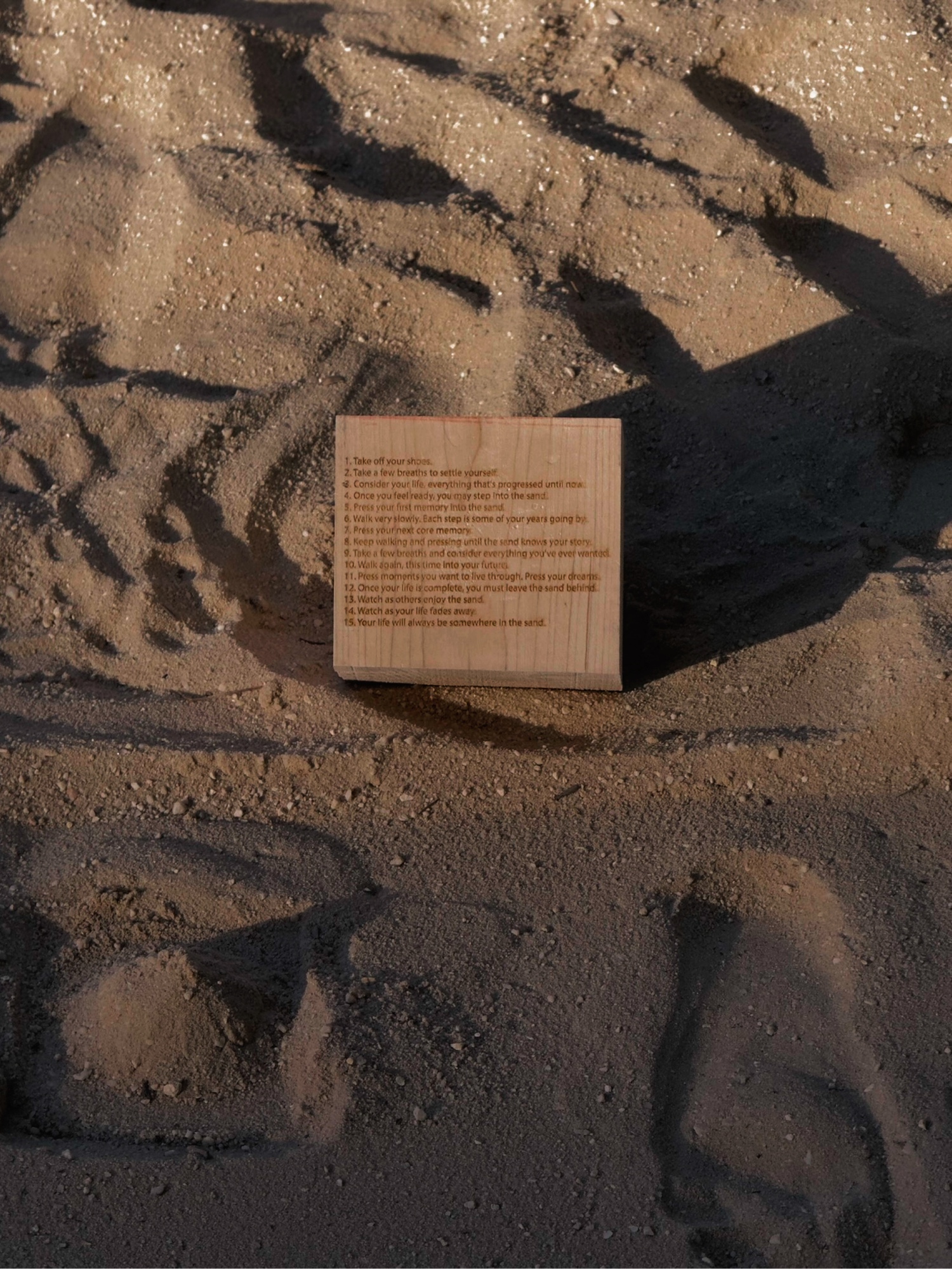 The Lifeform maple object and its engraved instructions in sand
